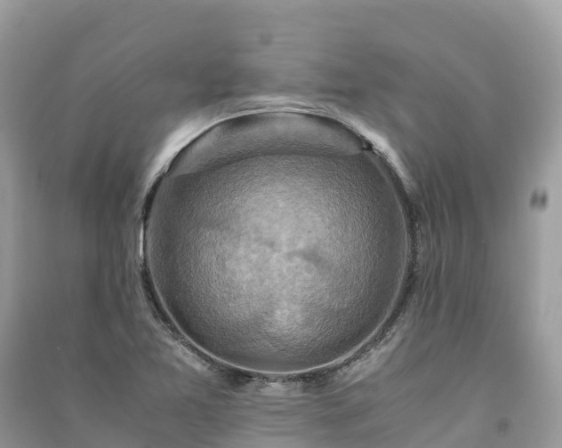 X0000091011365200708091552