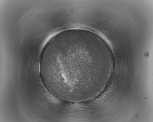 X0000091011368200708091552