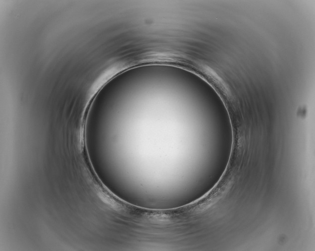 X0000091011370200708091552