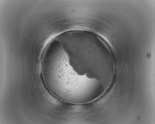X0000091011371200708091552