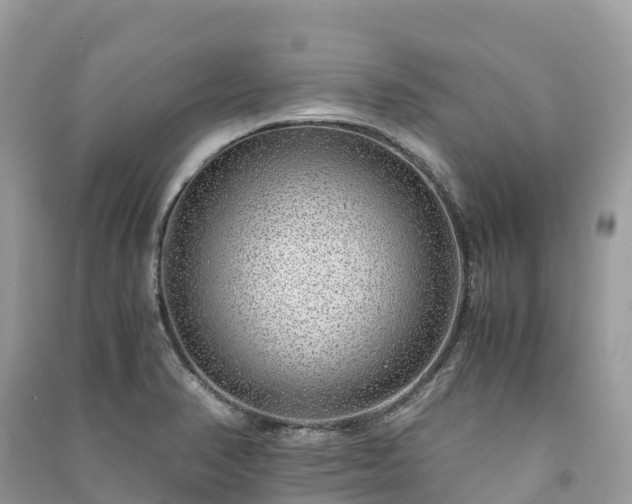 X0000091011374200708091552