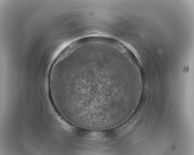 X0000091011375200708091552