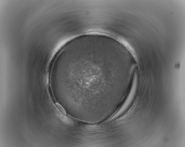 X0000091011376200708091552