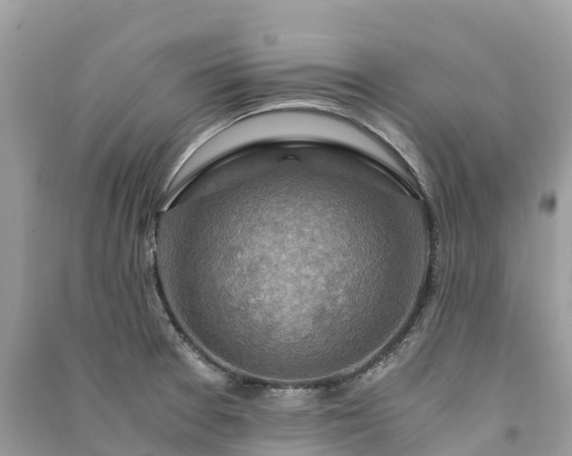 X0000091011377200708091552