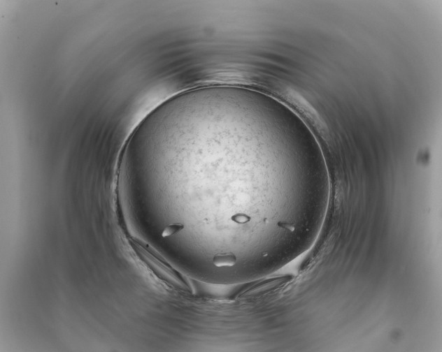 X0000091011378200708091552