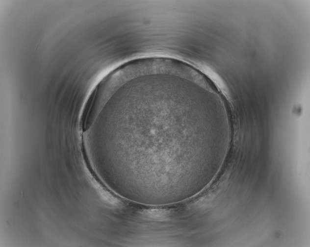X0000091011380200708091552