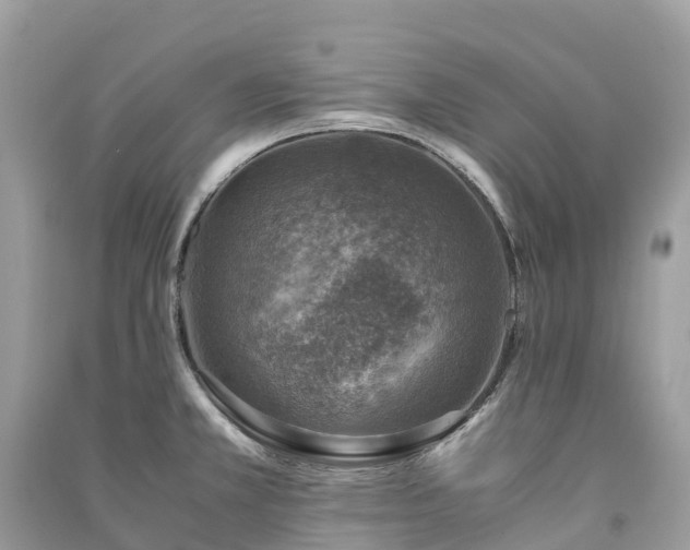 X0000091011381200708091552