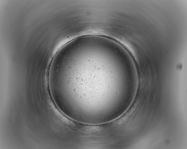X0000091011382200708091552