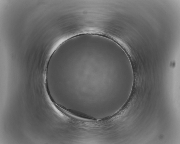 X0000091011383200708091552