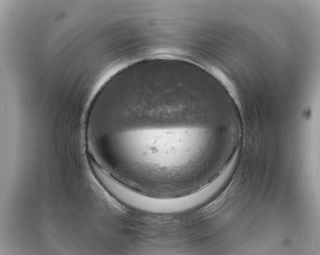 X0000091011384200708091552