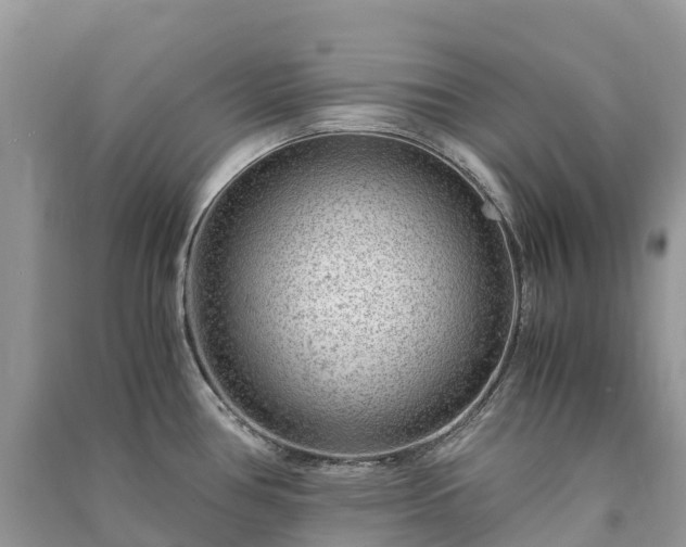 X0000091011386200708091552