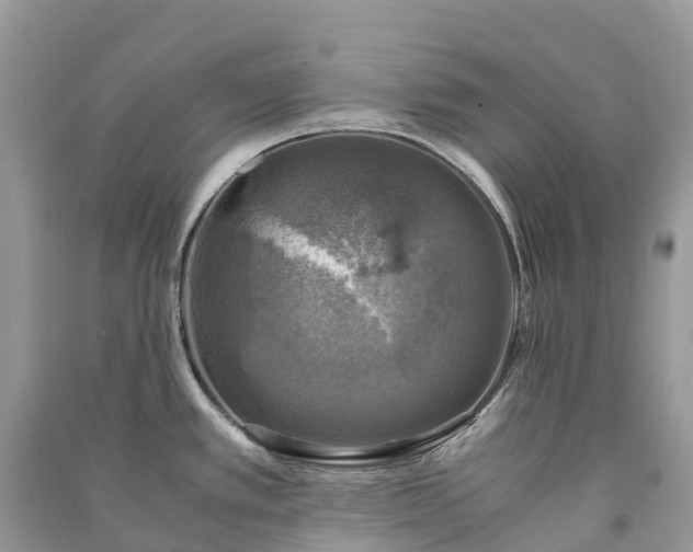 X0000091011389200708091552