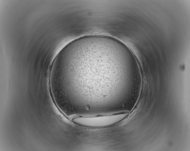 X0000091011390200708091552