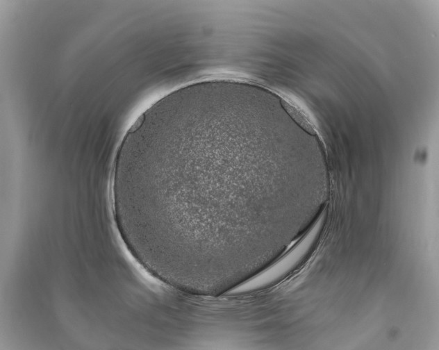 X0000091011391200708091552