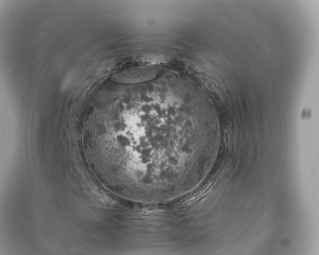 X0000091011393200708091551