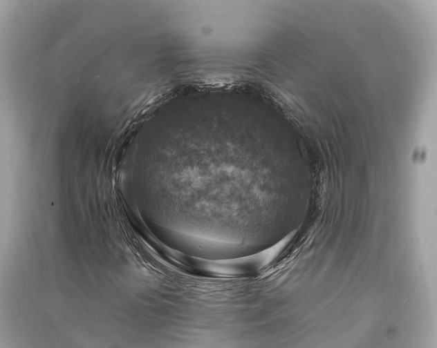 X0000091011394200708091551