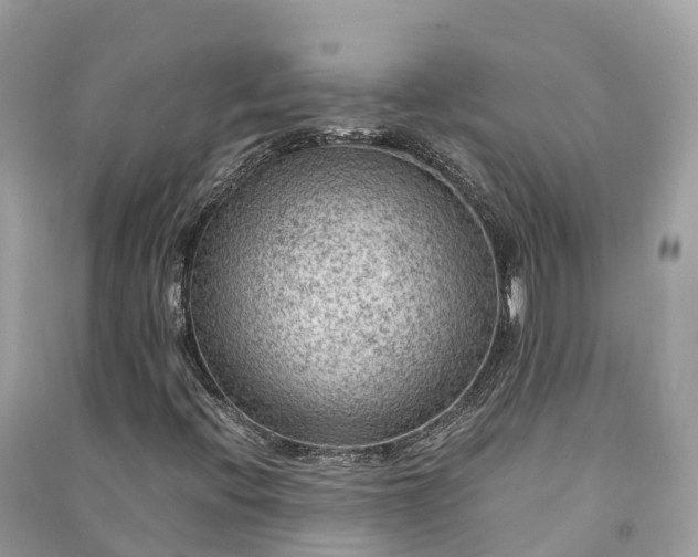 X0000091011396200708091551