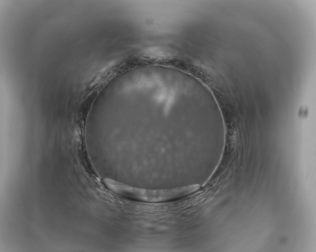 X0000091011397200708091551