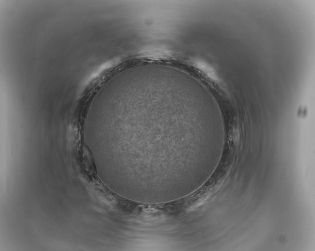 X0000091011398200708091551