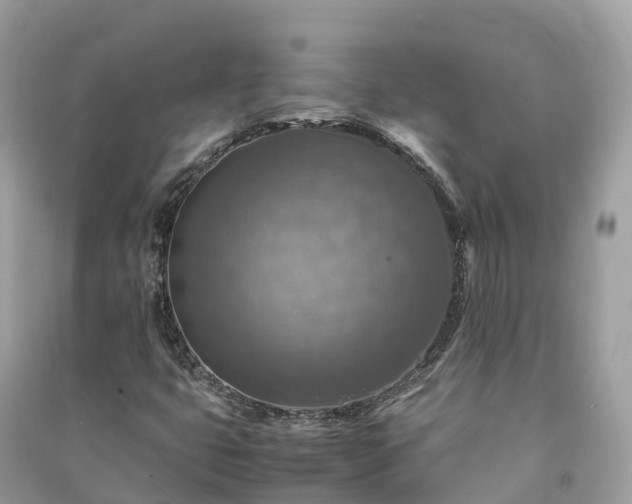 X0000091011399200708091551