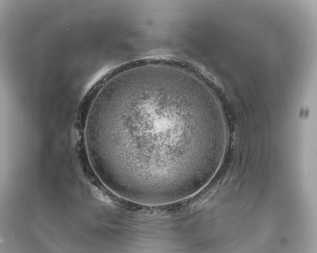 X0000091011400200708091551