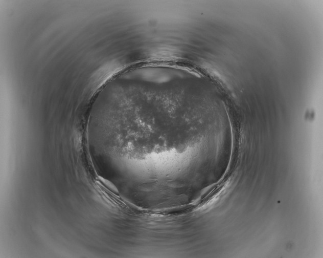 X0000091011401200708091551