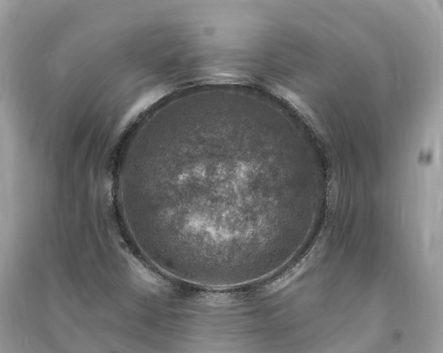 X0000091011402200708091551