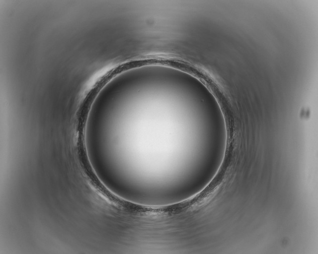 X0000091011406200708091551