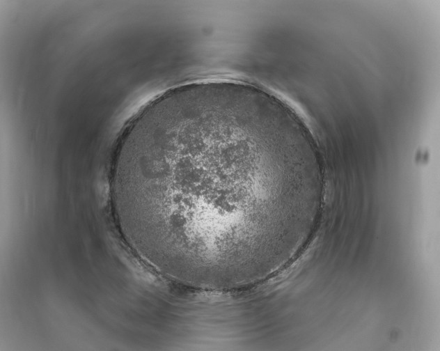 X0000091011407200708091552