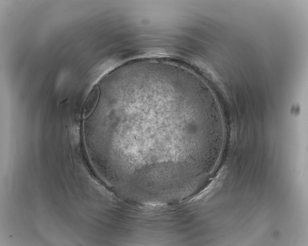 X0000091011409200708091552
