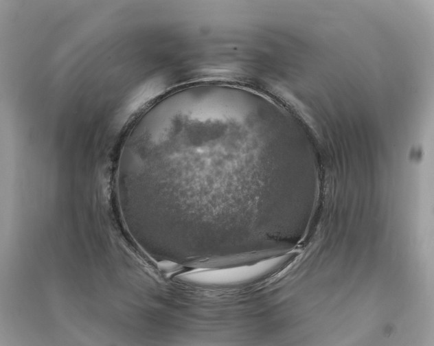 X0000091011411200708091552
