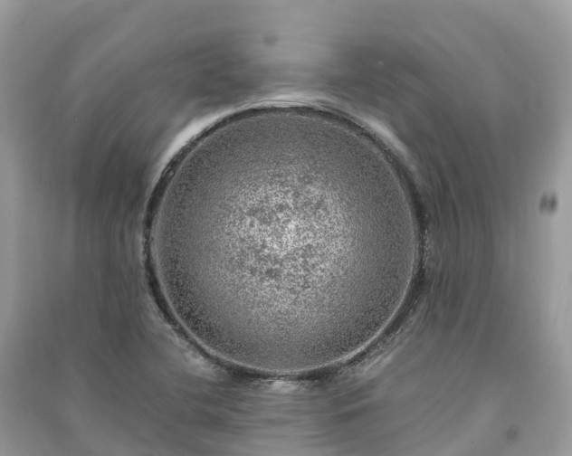 X0000091011412200708091552