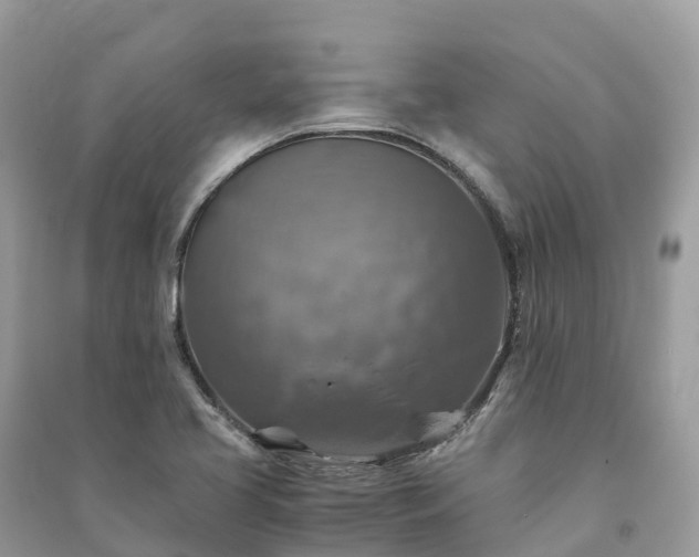 X0000091011413200708091552