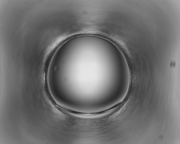 X0000091011414200708091552