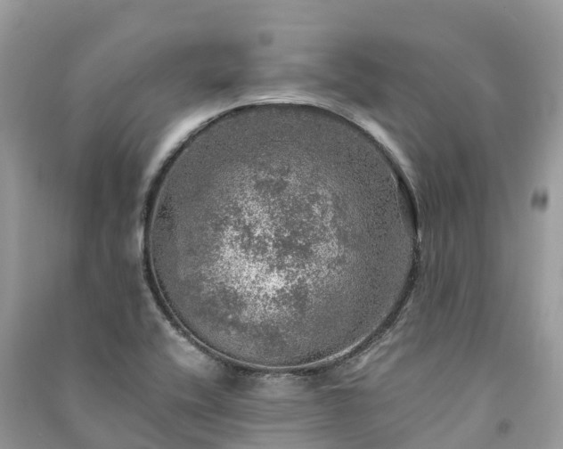 X0000091011416200708091552