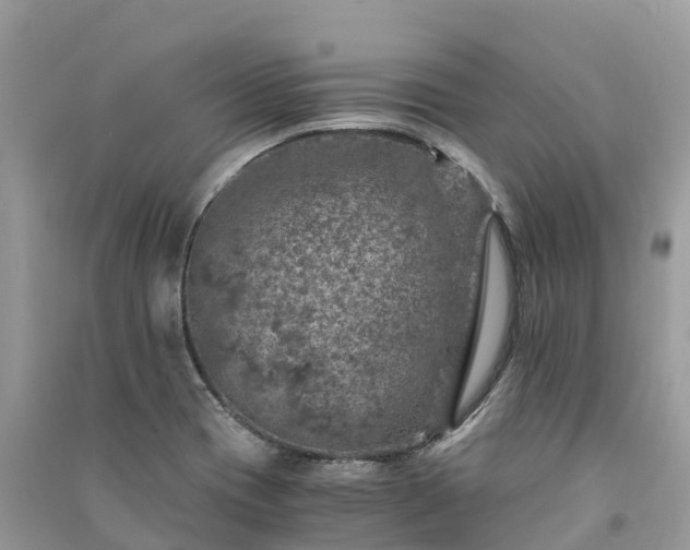 X0000091011417200708091552
