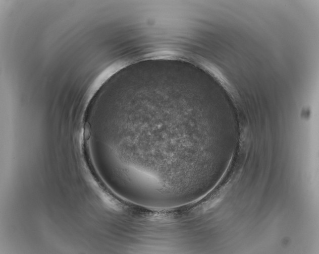 X0000091011418200708091552