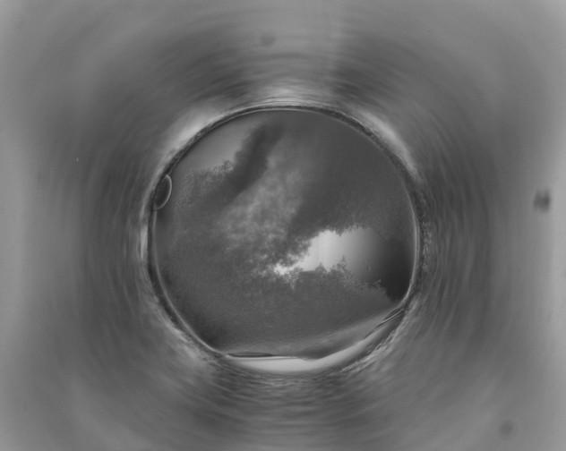 X0000091011419200708091552