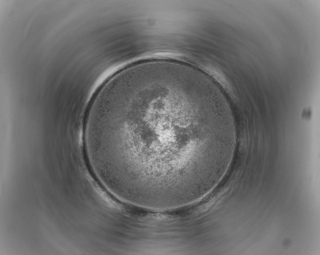 X0000091011420200708091552