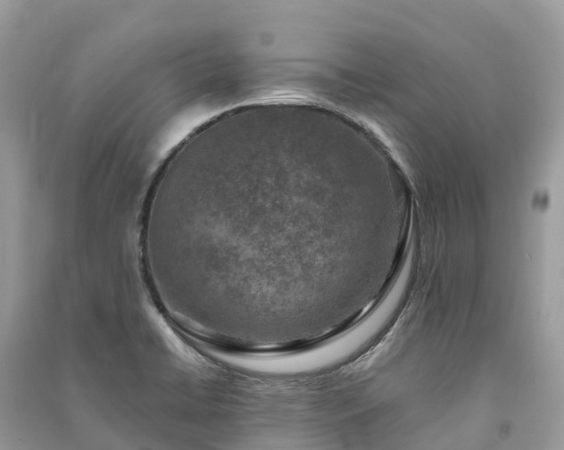 X0000091011422200708091552