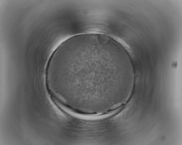 X0000091011423200708091552