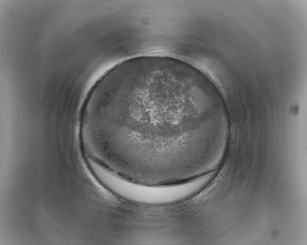 X0000091011424200708091552