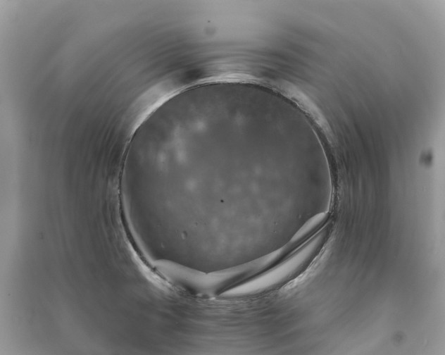 X0000091011425200708091552