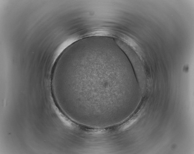 X0000091011426200708091552
