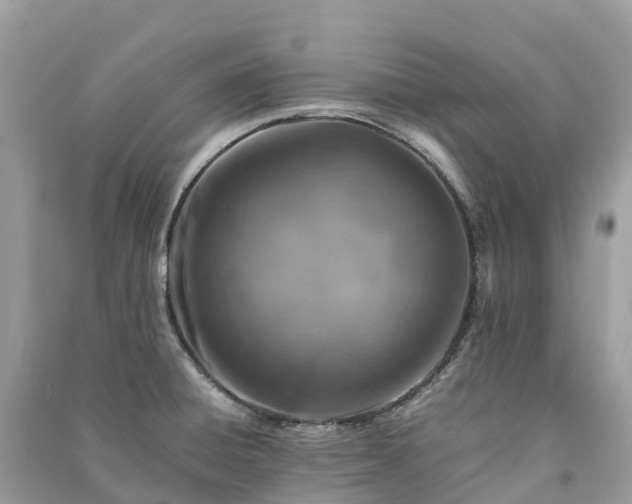 X0000091011428200708091552