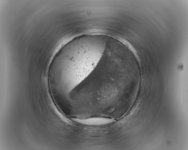 X0000091011429200708091552