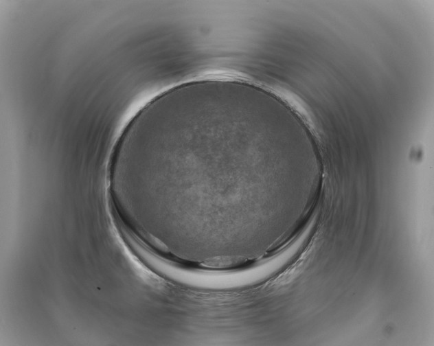 X0000091011430200708091552