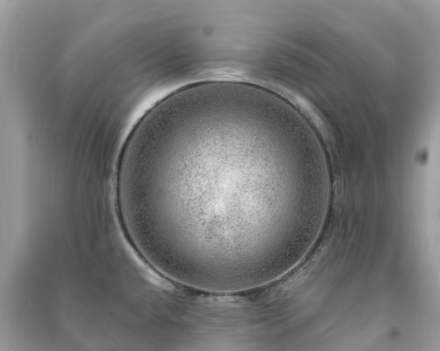 X0000091011432200708091552