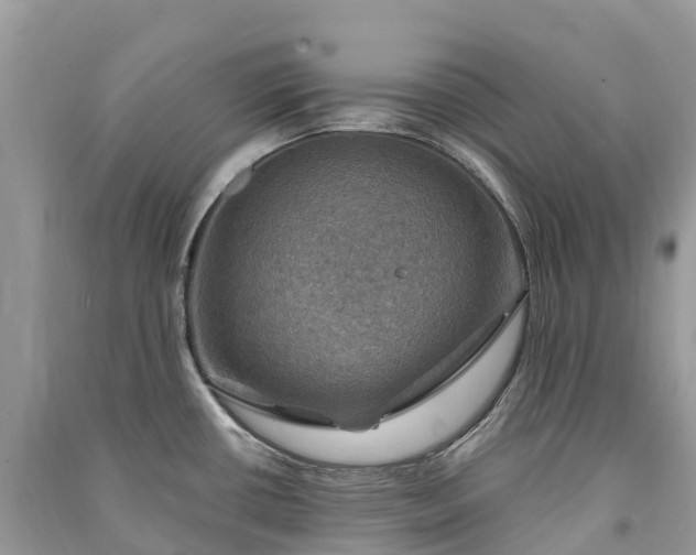 X0000091011434200708091552