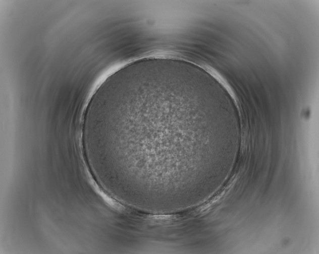 X0000091011437200708091552
